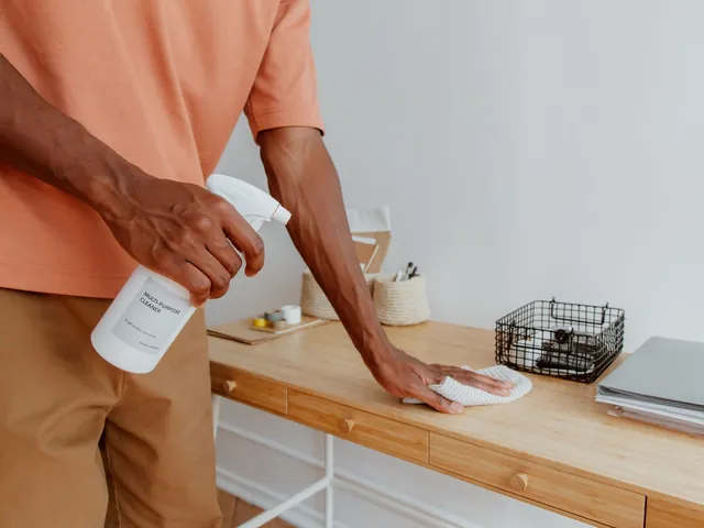 Regular & Recurring Cleaning